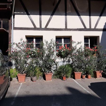 Villa GITE DU FLORIMONT 4 pers AU COEUR DE L ALSACE ROUTE DES VINS à Ingersheim Extérieur photo