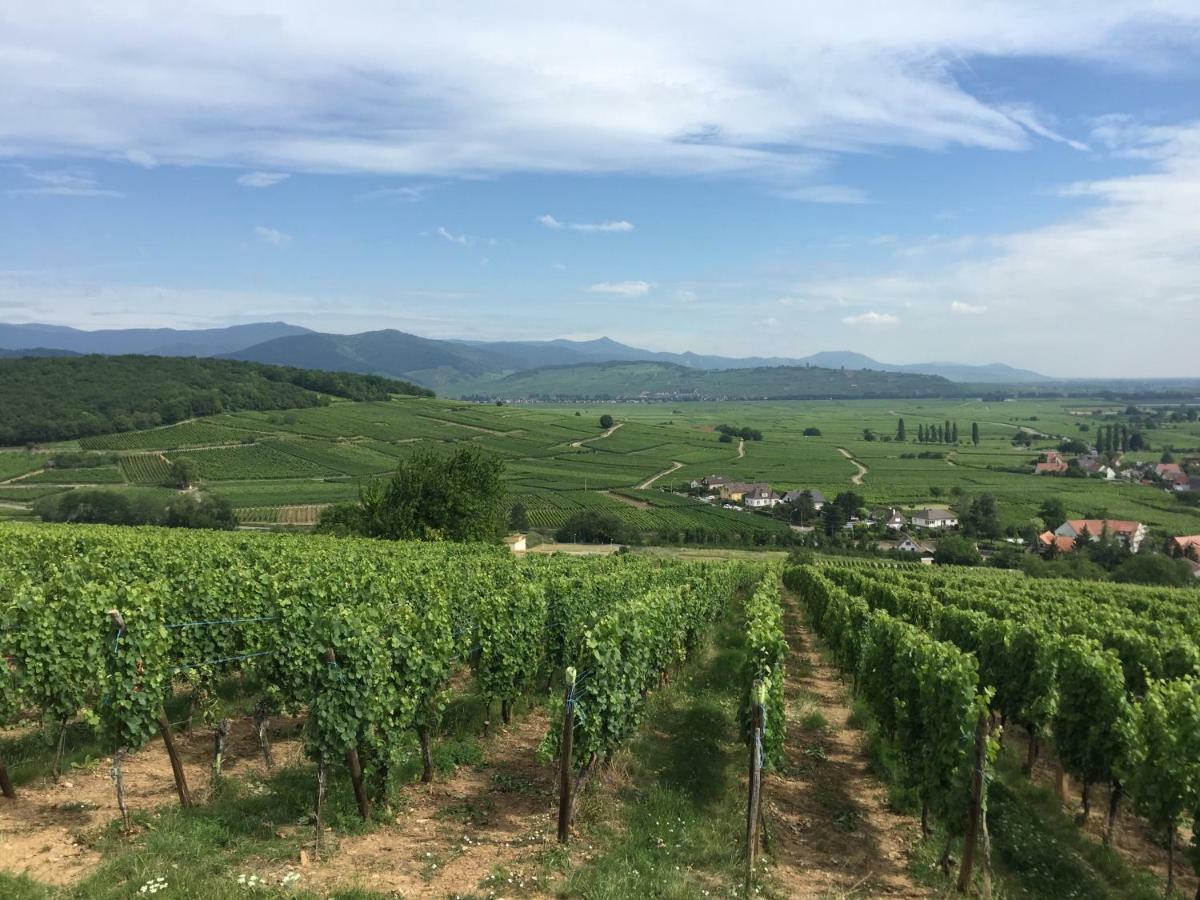 Villa GITE DU FLORIMONT 4 pers AU COEUR DE L ALSACE ROUTE DES VINS à Ingersheim Extérieur photo