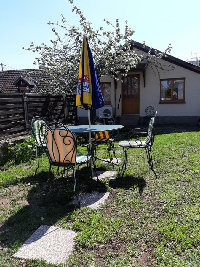 Villa GITE DU FLORIMONT 4 pers AU COEUR DE L ALSACE ROUTE DES VINS à Ingersheim Extérieur photo